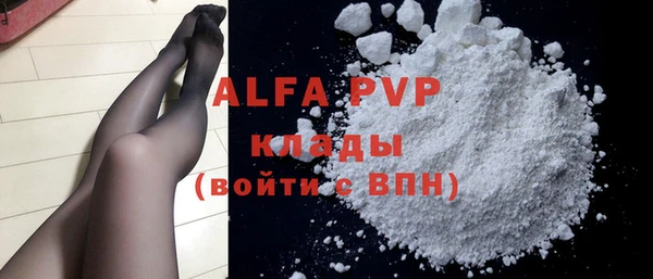гашик Богданович