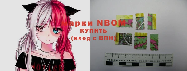 apvp Богородск