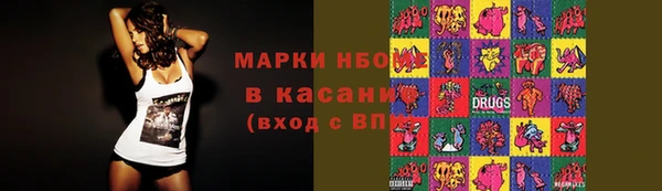 гашик Богданович