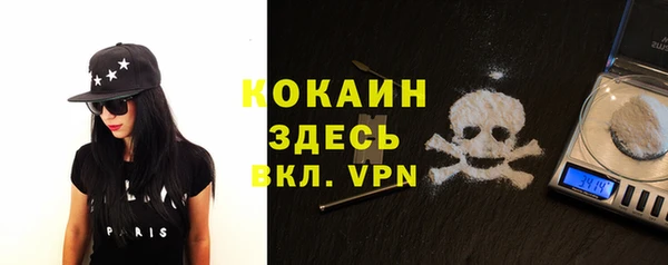 гашик Богданович