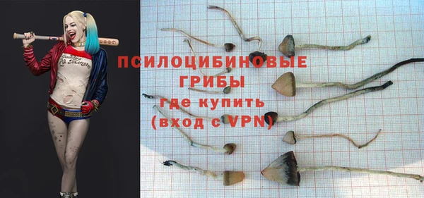 гашик Богданович