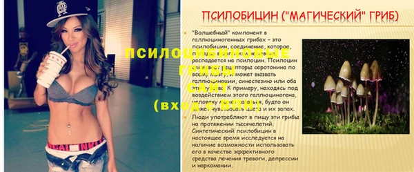 apvp Богородск