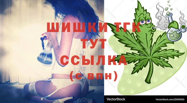 гашик Богданович