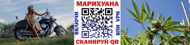 где купить   Пестово  МАРИХУАНА гибрид 